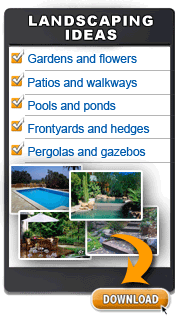 landscaping ideas